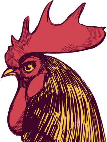 Bocoup's company logo, which is a hand illustrated rooster in red, yellow and brown, with purplish hues in the brown. The illustration was made by the Boston based artist Billy Nunez in 2009. The rooster's name is Bob.