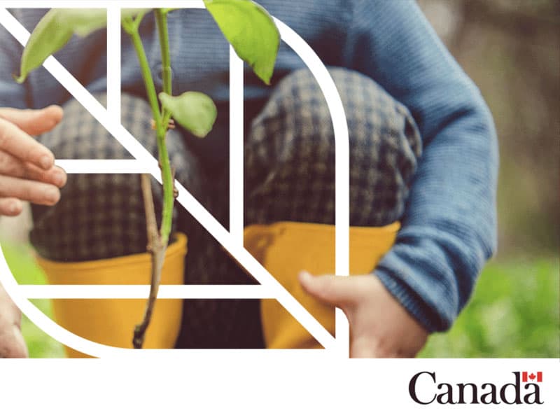 a an illustrated white leaf is superimposed over a seedling and yellow rain boots. in the corner is the Canadian flag and the word "Canada"